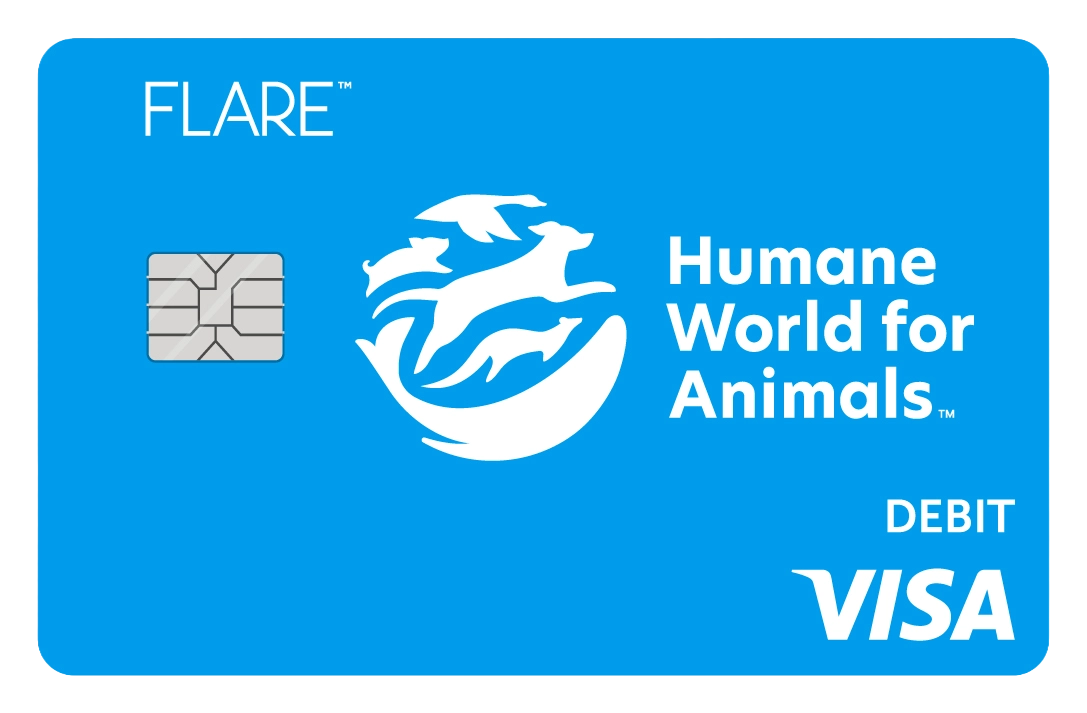 HWFA Flare Account debit card HWFA Flare Account debit card